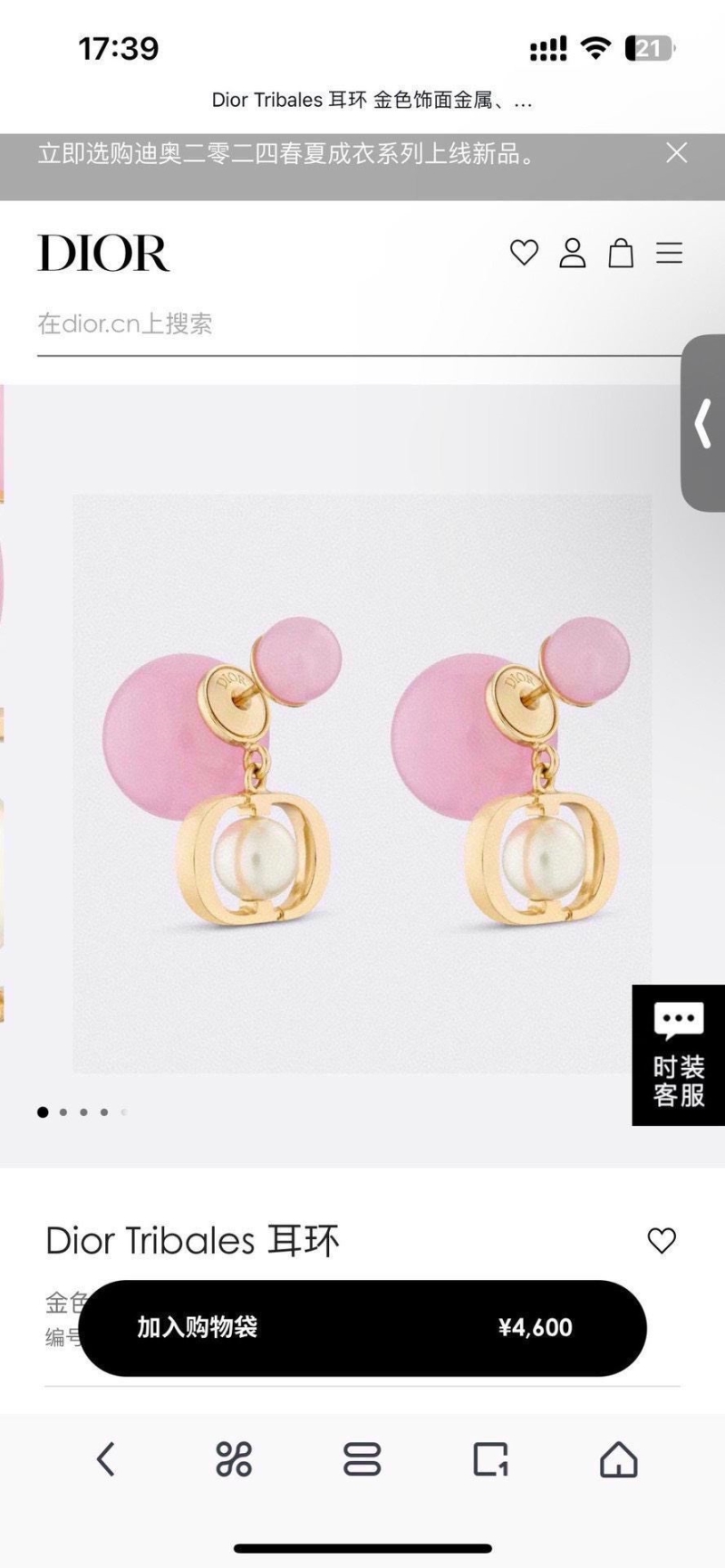 chr1st1an D10r earrings